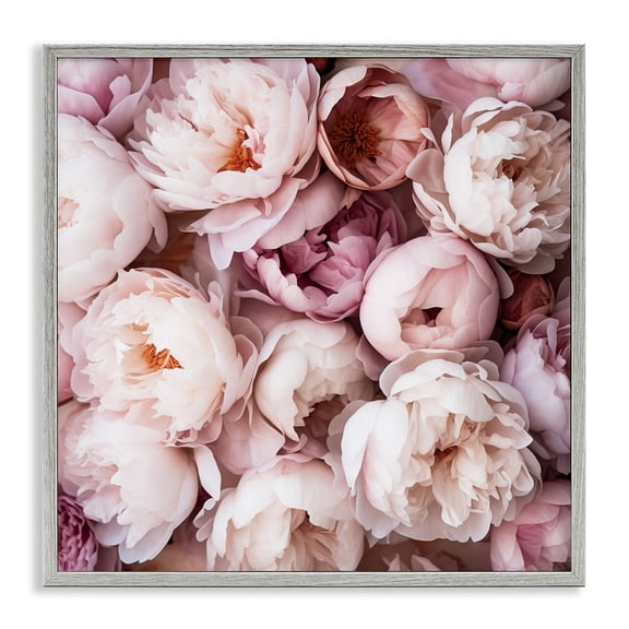 Stupell Industries Cottage Varied Peony Blooms Gray Framed Giclee Art, 24 x 24, by Riley B