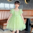 thumbnail image 2 of Cathalem Robe Semi-Formelle pour Filles Tout-Petits, Vert 110, 2 of 5