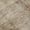 Beige, variant on Dalyn Rugs Machine Washable Indoor/Outdoor Chantille Aloe 10' x 14' Rug