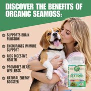 Organic Sea Moss Supplement with Bladderwrack and Burdock Root for Immune Support 60 Capsules