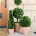 thumbnail image 2 of 24" Artificial Boxwood Plant in Tapered Pot, 2 of 5