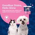 thumbnail image 6 of NaturVet Tear Stain Grooming Supplement for Dogs and Cats, Bacon and Chicken Flavor, 70 Count, 6 of 10