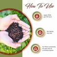 thumbnail image 3 of Plantonix Worm Bliss Premium Organic Worm Castings - 4 Quarts, 3 of 5