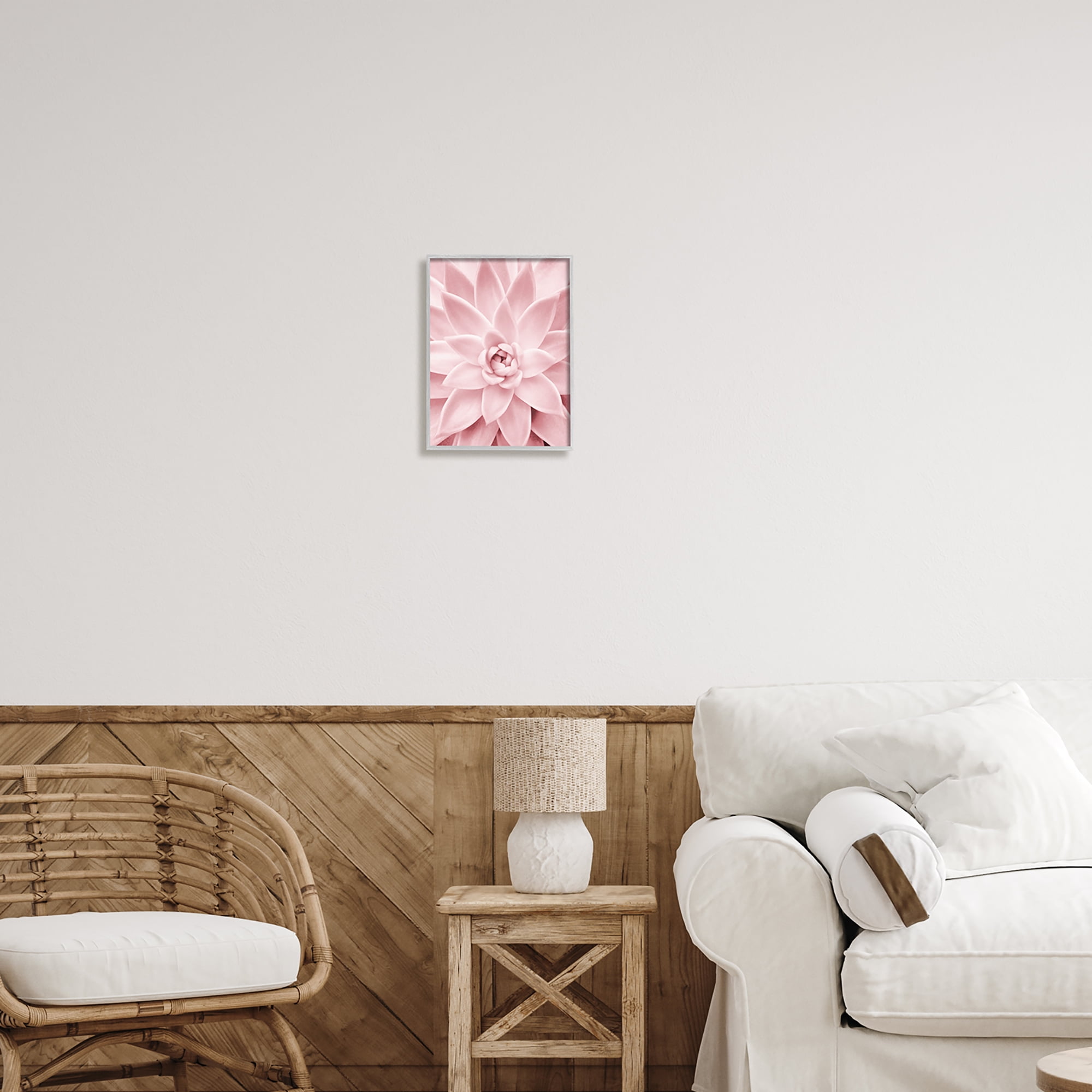 Stupell Industries Pastel Pink Succulent Botanical & Floral Photography Gray Framed Art Print Wall Art, 11 x 14