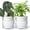 White, variant on GYA 4 Inch Design Self Watering Planter for Indoor Plants, Blue Terracotta Pot with Cylinder Glass Cup, Set of 2, 37-Y-A-4