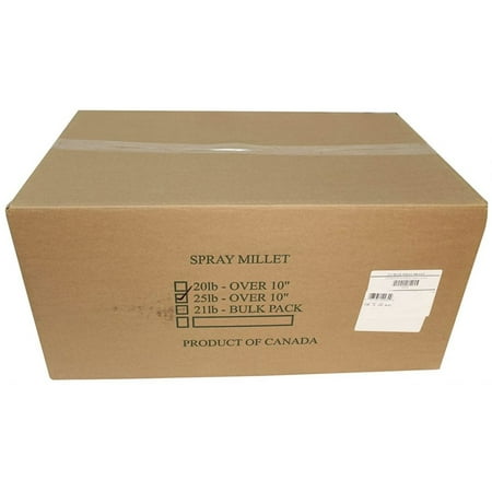 Sunseed Golden Millet Spray Natural Bird Treat 25 lbs