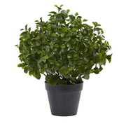 Nearly Natural 23 in. Peperomia Plant UV Resistant (Indoor/Outdoor)