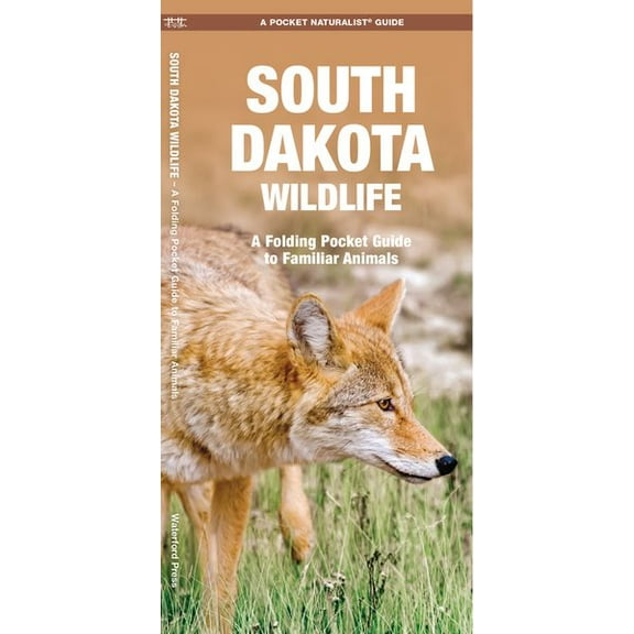 Wildlife and Nature Identification: South Dakota Wildlife : A Folding Pocket Guide to Familiar Animals (Other)