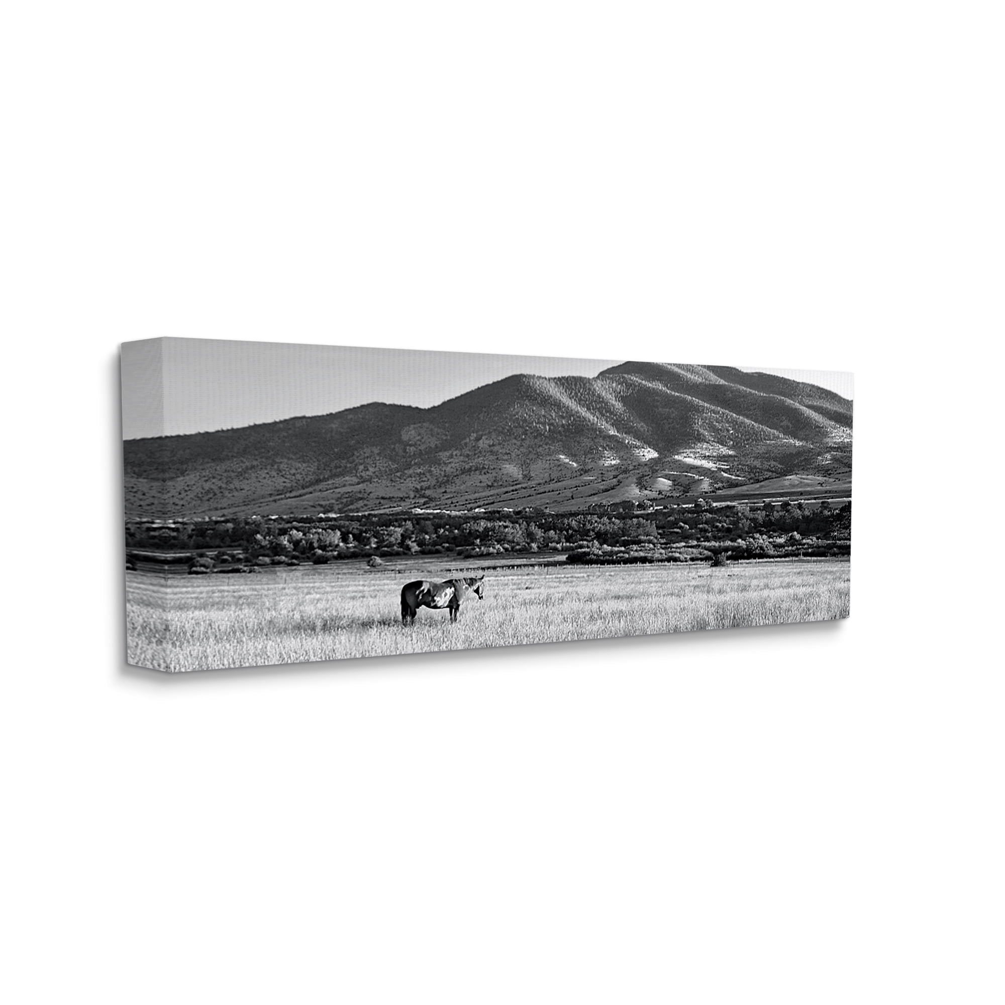 Stupell Industries Horse in Mountains Landscape Photography Gallery Wrapped Canvas Art Print Wall Art, 30 x 13