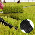 thumbnail image 4 of Troglfold tray 10PCS Sprouts Veg 72 Holes Flat Plate Thickening Forest Tray,21.26"X11.02"X1.97", 4 of 11