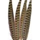 thumbnail image 2 of Touch Of Ringneck Pheasant Feathers 4/pcs, Natural, 2 of 2