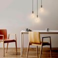 thumbnail image 3 of 60W Vintage Edison A19 Quad Loop Incandescent Filament Light Bulb 3-Pack, E26 Base, 245 Lumens, 3 of 5
