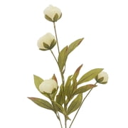 16 Pack: Cream Peony Stem by Ashland