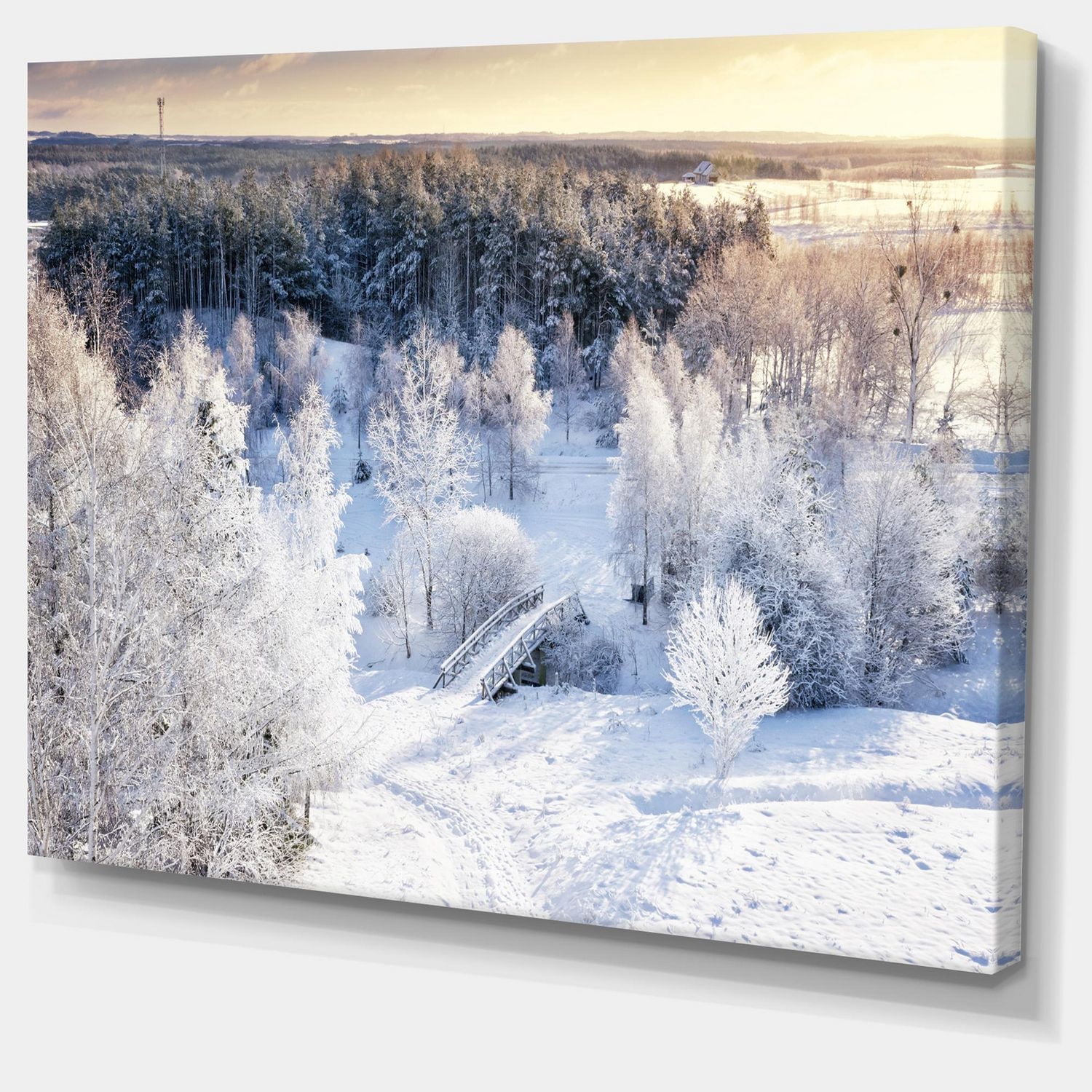 Designart Beautiful Winter Panorama Canvas Wall Art
