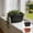 2Pcs veg planter Under $5 a1, variant on Werulen Retro Outline Rectangular Planter for Balcony Vegetable Growing, Household Windowsill Edible Crop Cultivation Arrangement, Veg Planter, Growing Pot, Home Garden Accessory