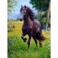 thumbnail image 1 of Cheval Errant dans la Forêt - Peinture Diamant DIY, 1 of 6