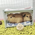 thumbnail image 6 of Large Rabbit Bed House, with Pad Bunny Hideout Hut Detachable Warm Habitat Pet Shelter for Small Animal Hamster Cage Accessories Bunny Chinchilla Blue, 6 of 9
