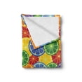thumbnail image 2 of Abstract Soft Flannel Fleece Throw Blanket, Colorful Slices of Orange Tropical Fruit Rainbow Color Fun Design, Cozy Plush for Indoor and Outdoor Use, 60" x 80", Yellow Blue Green, by Ambesonne, 2 of 6