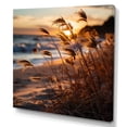 thumbnail image 2 of Designart "Sunrise Breeze on the Beach IV" Nautical & Beach Wall Art Living Room, 2 of 5