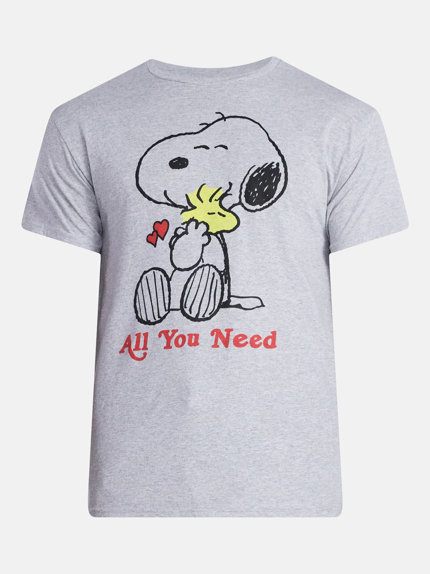 Snoopy Men's and Big Men's All You Need Valentine's Day Graphic Tee, Sizes S-3XL