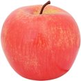 thumbnail image 1 of Coofit Artificial Fruits Orange Pear Mango Simulation Fruits Fake Fruits Photo Prop, 1 of 4