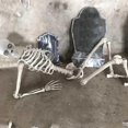 thumbnail image 4 of Halloween Skeleton Prop Human Full Size Skull Hand Life Body Anatomy Model Decor, 4 of 5