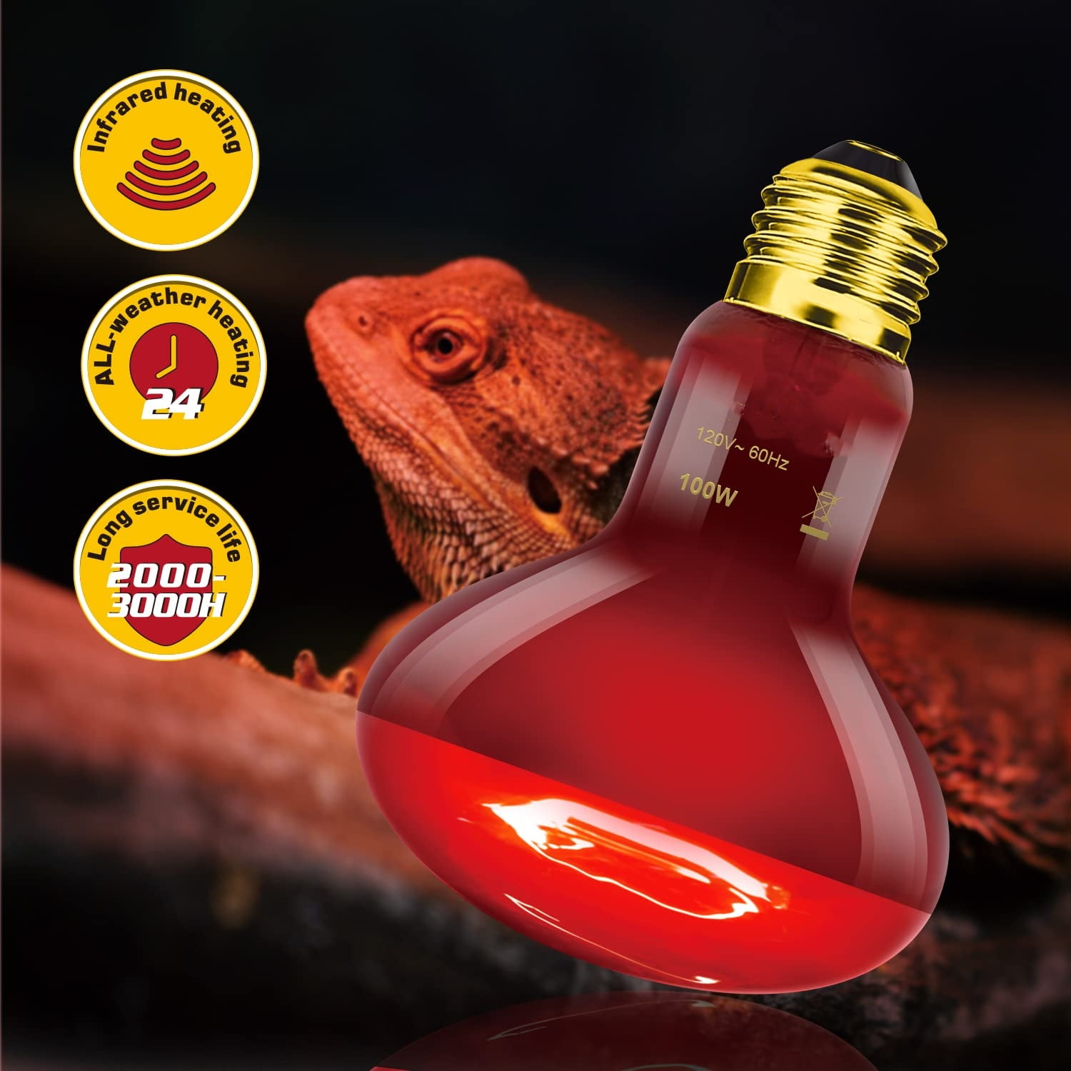 ECOSUB Dual Reptile Light Fixture Combo Pack, With 100W UVA Daylight and Infrared Heating Lamp