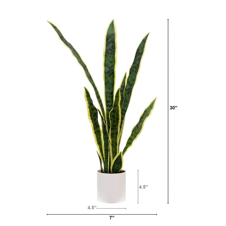 Mainstays 30"H Artificial Indoor Snake Plant in a Vanilla Plant Container