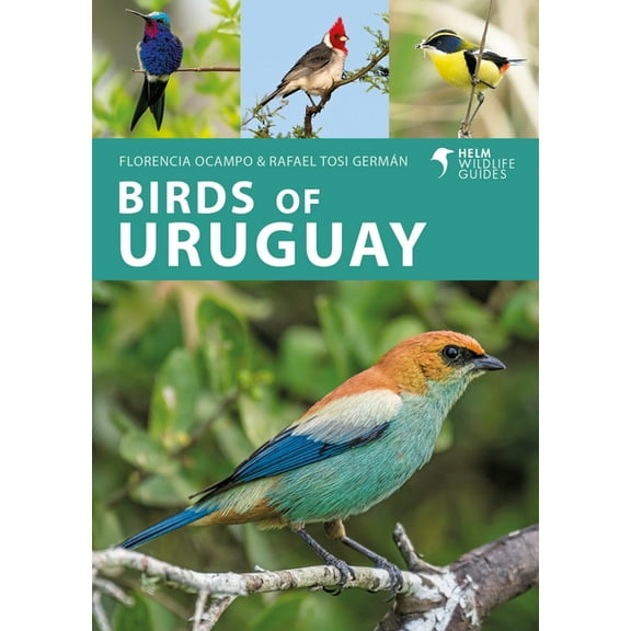 Helm Wildlife Guides Birds of Uruguay, (Paperback)