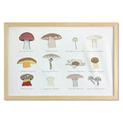 Mushroom Wall Art with Frame, Colorful Fungi Pattern Blusher Boletus Sketch Style Plants Autumn Illustration, Printed Fabric Poster for Bathroom Living Room Dorms, 35" x 23", Multicolor, by Ambesonne