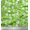 Pear Green, variant on Soimoi Cotton Voile Fabric Leaves & Floral Clip Art Print Fabric by the Yard 42 Inch Wide