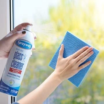 The Award Box Sprayway Glass Cleaner Foam Action Cleaner 19 oz with  Cleaning Cloth Pack of 3 