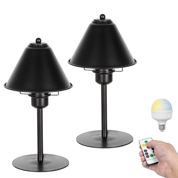 FSLiving Table lamp with Rechargeable Battery Operated Light Bulb by Remote, Wireless Timer RGBW Bedside Reading Light Simple Downward Black Desk Lamp for Living Room, Console, End Table, 2 Sets