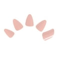 thumbnail image 1 of Weiweiguan 5Pcs Lute Nails Professional Grade Examination Performance Grade Nylon Lute Nails, 1 of 6