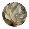 thumbnail image 2 of JEUXUS White Tulip on Black Background Modern Round Tablecloth White, 2 of 7