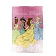 thumbnail image 1 of Disney Princess Kids Twin Silk Touch Blanket, 100% Polyester, 1 of 6