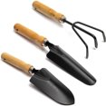 thumbnail image 4 of CHUANK Clearance Set Black Iron Gardening Tools Set with Mango Wood Handle - Mini Hand Trowel  Transplanter  Hand Rake Cultivator, 4 of 15