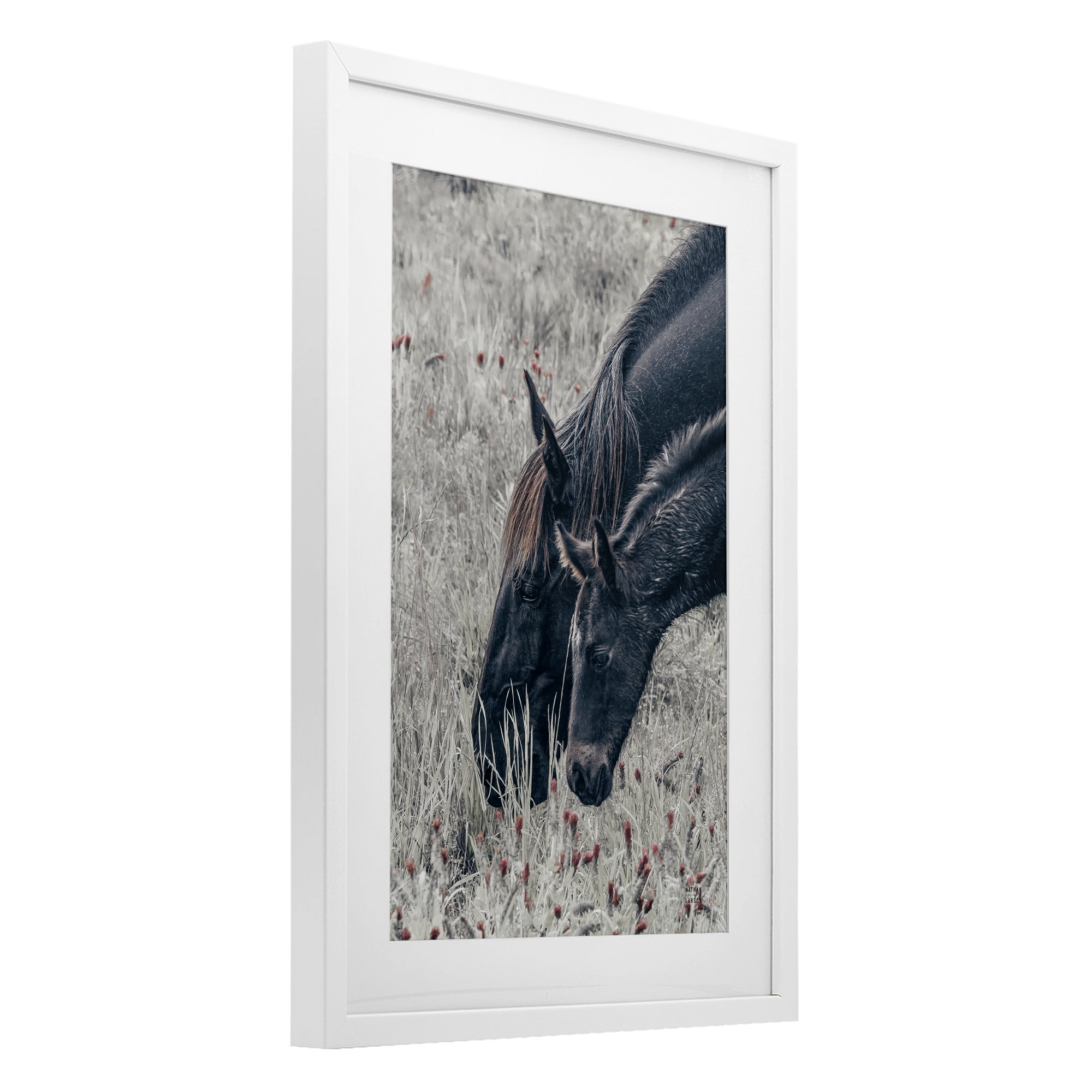 Stupell Industries New Graze Horses in Meadow White Framed Print Under Glass, design by Nathan Larson