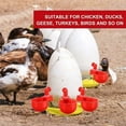 thumbnail image 1 of pstuiky 4 bebederos automáticos de plástico para aves de corral/codornices, pollos y gallinas., 1 of 9