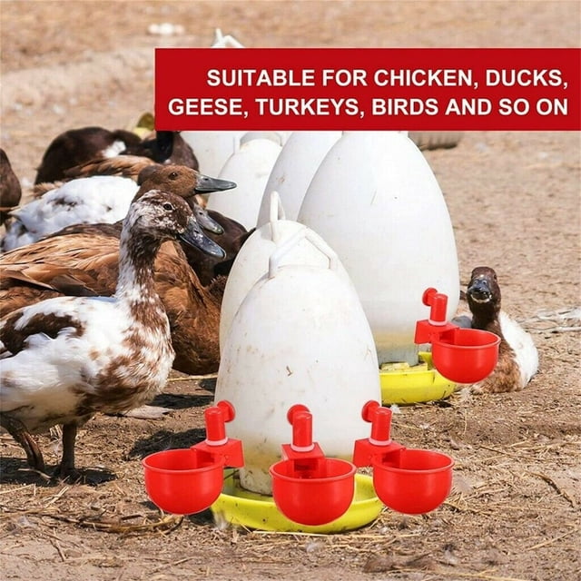 pstuiky 4 bebederos automáticos de plástico para aves de corral/codornices, pollos y gallinas.