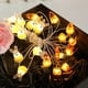 thumbnail image 5 of Guirnalda de luces LED decorativas de Pascua con forma de zanahoria y conejito de Pascua. Luces decorativas navideñas de plástico para interiores y exteriores. Funciona con pilas., 5 of 6