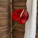 thumbnail image 5 of Flor de imitación de anturio,grulla de fuego,palmera artificial,arreglo floral para el salón de bodas,vegetación para el hogar,flores artificiales decorativas, 5 of 6