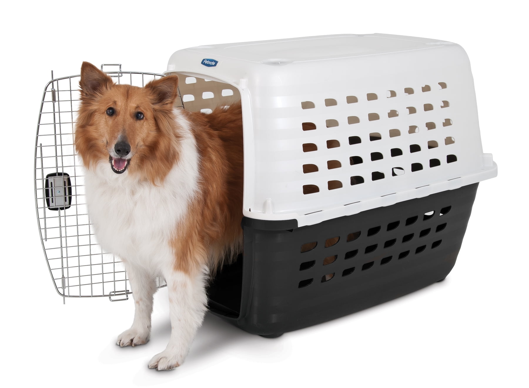 petmate compass kennel