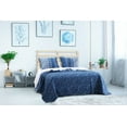 Embry Indigo Quilt Set by Barefoot Bungalow