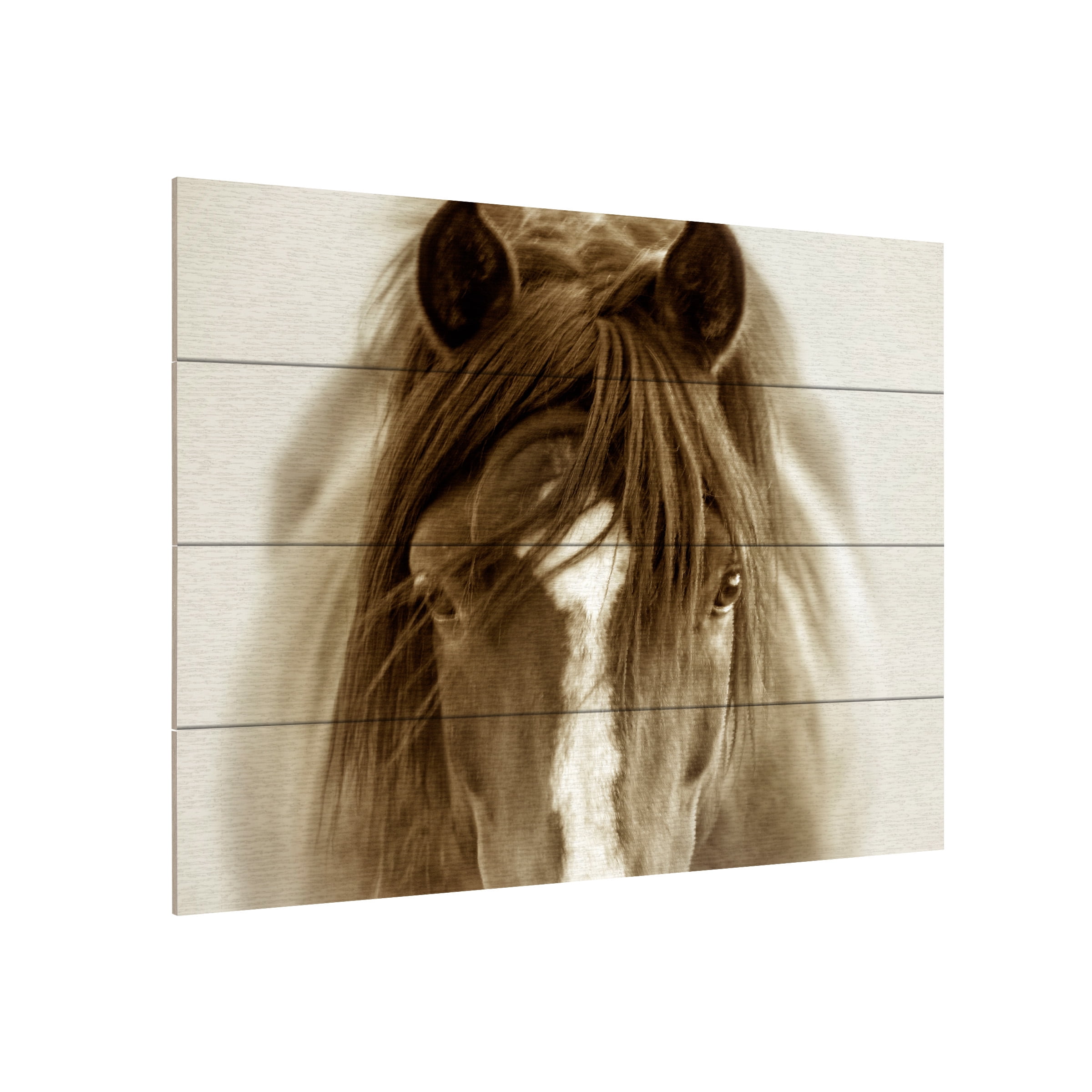 Lisa Dearing 'Ghost Horse' Wood Slat Art 12x16