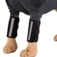 thumbnail image 1 of Rodilleras para mascotas, almohadillas para patas delanteras para perros, envolturas de compresión para patas, Protector de codo para perros, eficiencia maximizada, 1 of 9