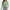 Light green, variant on Womens Long Sleeve Tops Casual Basics Fall Shirts Solid Crewneck T-Shirt