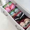 thumbnail image 3 of Portable Large Capacity Underwear Storage Bag Travel Storage Bag Bra Organization Bag Storage Case, 3 of 8