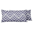 thumbnail image 1 of VargottamIndoor/OutdoorPolyester FabricLumbarPillowCover,All-Weather Waterproof Rectangular Cushion Case for Patio Furniture,16" x 24"Set of 2 -Abstracts-55, 1 of 6
