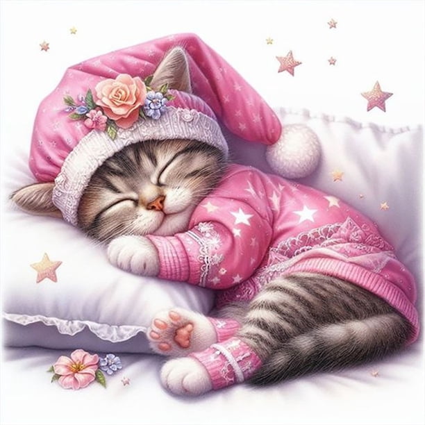 K1971 Resina Diamante Serie Gatito Durmiendo 30*30CM